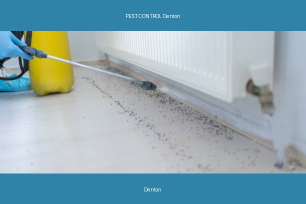 PEST CONTROL Denton